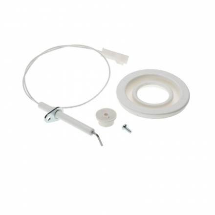 Worcester Flame Sence Electrode and Harness