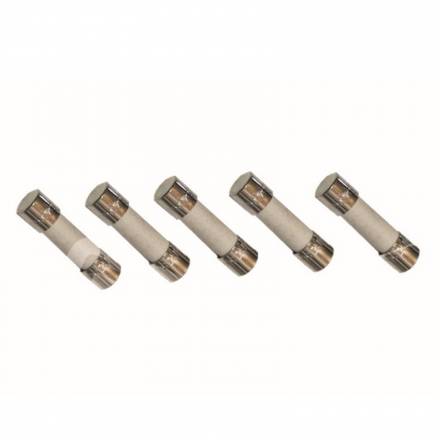 Grant 6.3A Fuses (for PCB) (5 pack)